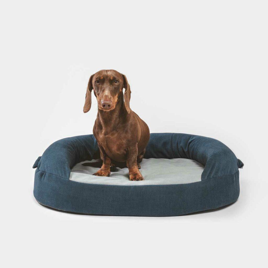sofa para perros con viscoelástica