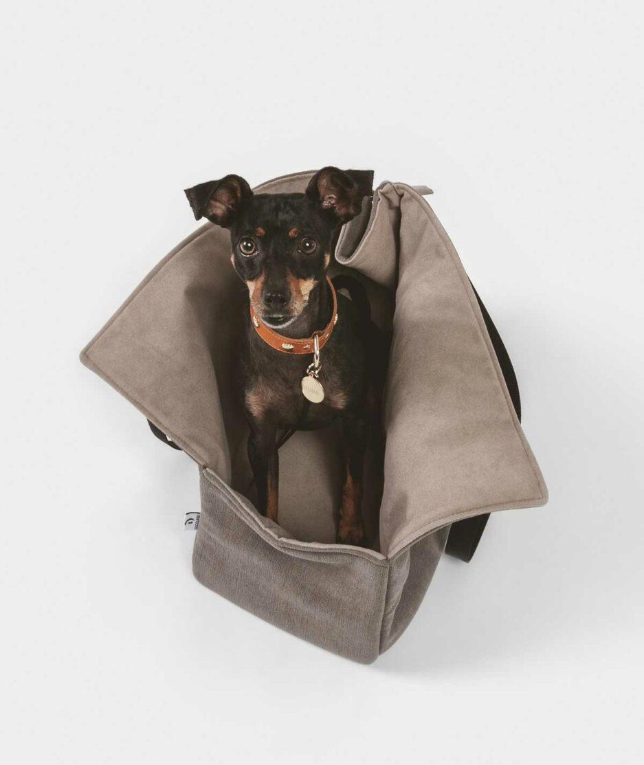 kleine Hundetragetasche